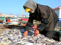 Fishermen dry fish at the fishing port of Xiliandao village in Lianyungang, China, on October 29, 2024. (