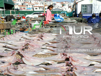 Fishermen dry fish at the fishing port of Xiliandao village in Lianyungang, China, on October 29, 2024. (