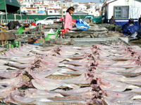 Fishermen dry fish at the fishing port of Xiliandao village in Lianyungang, China, on October 29, 2024. (