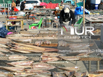 Fishermen dry fish at the fishing port of Xiliandao village in Lianyungang, China, on October 29, 2024. (