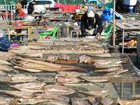 Fishermen dry fish at the fishing port of Xiliandao village in Lianyungang, China, on October 29, 2024. (