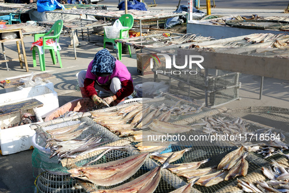 Fishermen dry fish at the fishing port of Xiliandao village in Lianyungang, China, on October 29, 2024. 