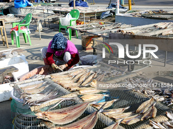 Fishermen dry fish at the fishing port of Xiliandao village in Lianyungang, China, on October 29, 2024. (