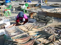 Fishermen dry fish at the fishing port of Xiliandao village in Lianyungang, China, on October 29, 2024. (