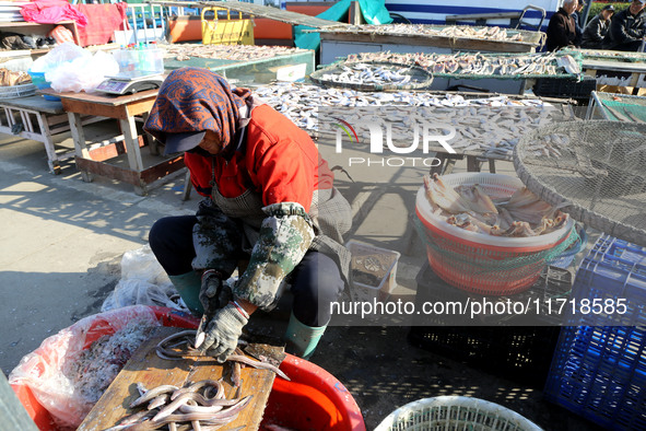 Fishermen dry fish at the fishing port of Xiliandao village in Lianyungang, China, on October 29, 2024. 