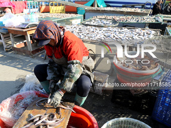 Fishermen dry fish at the fishing port of Xiliandao village in Lianyungang, China, on October 29, 2024. (