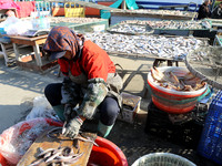 Fishermen dry fish at the fishing port of Xiliandao village in Lianyungang, China, on October 29, 2024. (