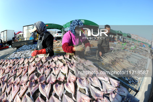 Fishermen dry fish at the fishing port of Xiliandao village in Lianyungang, China, on October 29, 2024. 