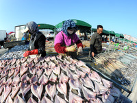 Fishermen dry fish at the fishing port of Xiliandao village in Lianyungang, China, on October 29, 2024. (