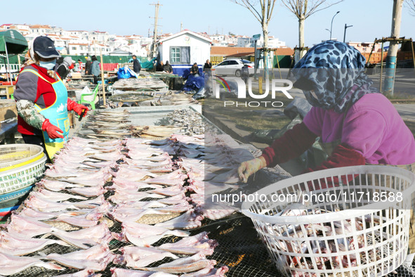 Fishermen dry fish at the fishing port of Xiliandao village in Lianyungang, China, on October 29, 2024. 