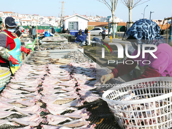 Fishermen dry fish at the fishing port of Xiliandao village in Lianyungang, China, on October 29, 2024. (