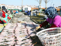 Fishermen dry fish at the fishing port of Xiliandao village in Lianyungang, China, on October 29, 2024. (