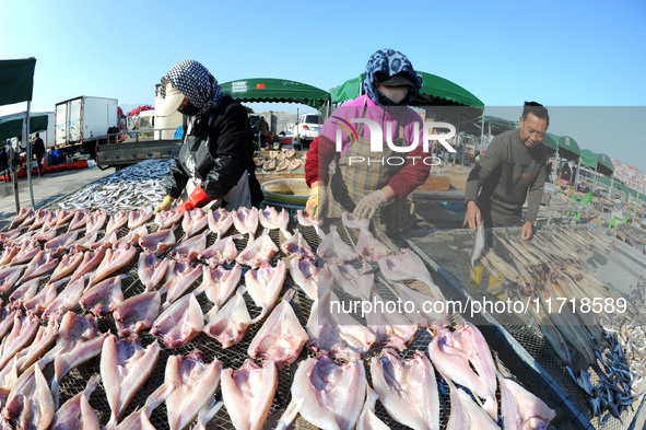 Fishermen dry fish at the fishing port of Xiliandao village in Lianyungang, China, on October 29, 2024. 