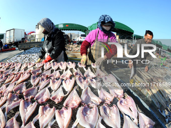 Fishermen dry fish at the fishing port of Xiliandao village in Lianyungang, China, on October 29, 2024. (