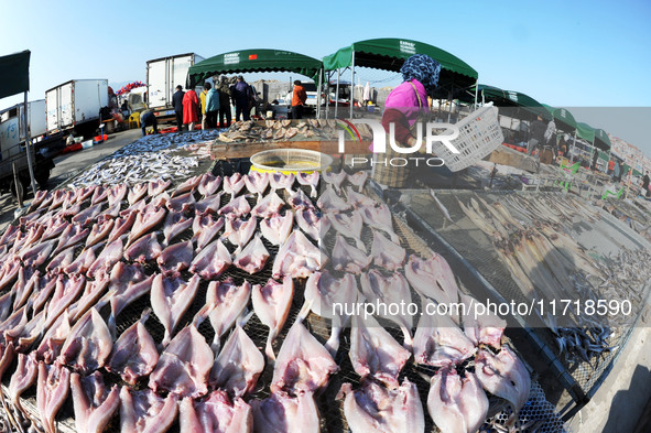 Fishermen dry fish at the fishing port of Xiliandao village in Lianyungang, China, on October 29, 2024. 