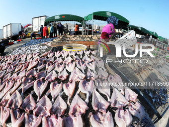 Fishermen dry fish at the fishing port of Xiliandao village in Lianyungang, China, on October 29, 2024. (