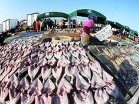 Fishermen dry fish at the fishing port of Xiliandao village in Lianyungang, China, on October 29, 2024. (