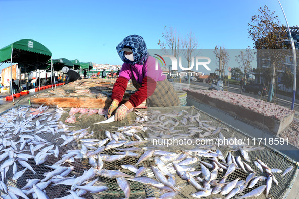 Fishermen dry fish at the fishing port of Xiliandao village in Lianyungang, China, on October 29, 2024. 