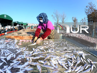 Fishermen dry fish at the fishing port of Xiliandao village in Lianyungang, China, on October 29, 2024. (