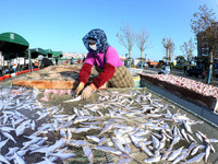 Fishermen dry fish at the fishing port of Xiliandao village in Lianyungang, China, on October 29, 2024. (