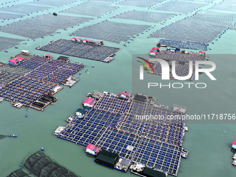 Workers drive fishing boats to work at a large yellow croaker breeding base in Baiji Bay in Ningde, China, on October 27, 2024. (