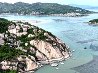 Workers drive fishing boats to work at a large yellow croaker breeding base in Baiji Bay in Ningde, China, on October 27, 2024. (