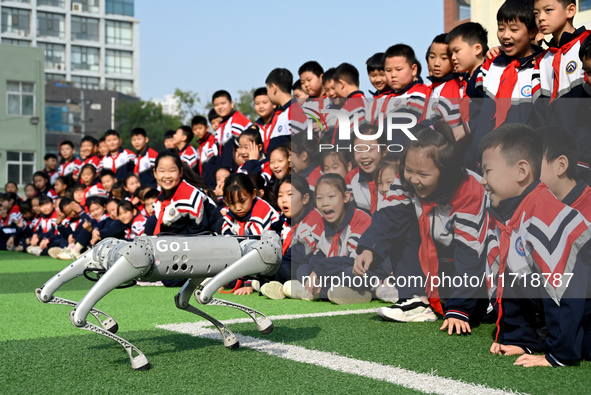 Primary school students interact with a robot dog in Handan, China, on October 29, 2024. 