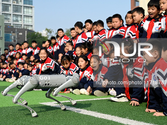 Primary school students interact with a robot dog in Handan, China, on October 29, 2024. (