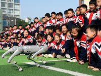 Primary school students interact with a robot dog in Handan, China, on October 29, 2024. (