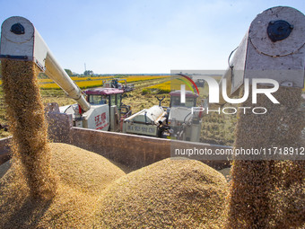 Workers operate machines to harvest rice at Baima Lake farm in Huai'an, China, on October 29, 2024. (