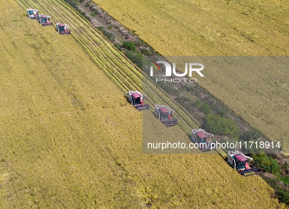 Workers operate machines to harvest rice at Baima Lake farm in Huai'an, China, on October 29, 2024. 