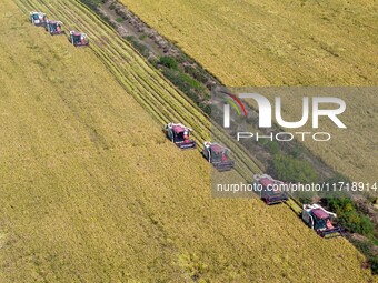 Workers operate machines to harvest rice at Baima Lake farm in Huai'an, China, on October 29, 2024. (