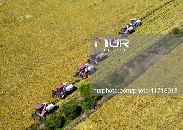 Workers operate machines to harvest rice at Baima Lake farm in Huai'an, China, on October 29, 2024. 