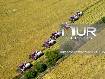 Workers operate machines to harvest rice at Baima Lake farm in Huai'an, China, on October 29, 2024. (