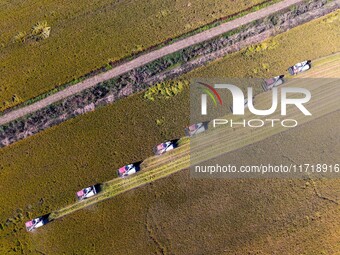 Workers operate machines to harvest rice at Baima Lake farm in Huai'an, China, on October 29, 2024. (