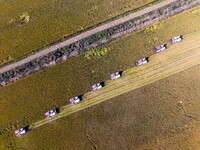 Workers operate machines to harvest rice at Baima Lake farm in Huai'an, China, on October 29, 2024. (