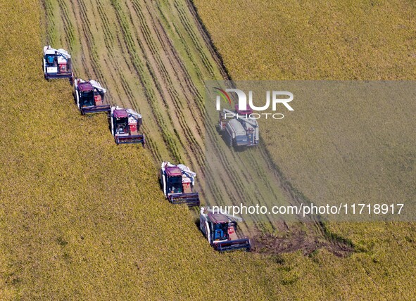 Workers operate machines to harvest rice at Baima Lake farm in Huai'an, China, on October 29, 2024. 