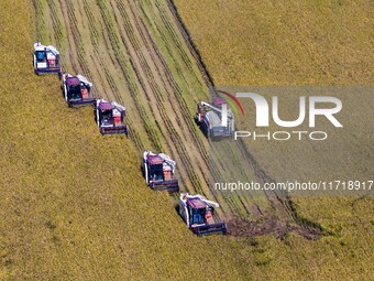 Workers operate machines to harvest rice at Baima Lake farm in Huai'an, China, on October 29, 2024. (