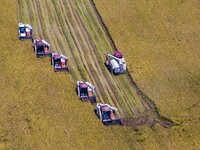 Workers operate machines to harvest rice at Baima Lake farm in Huai'an, China, on October 29, 2024. (