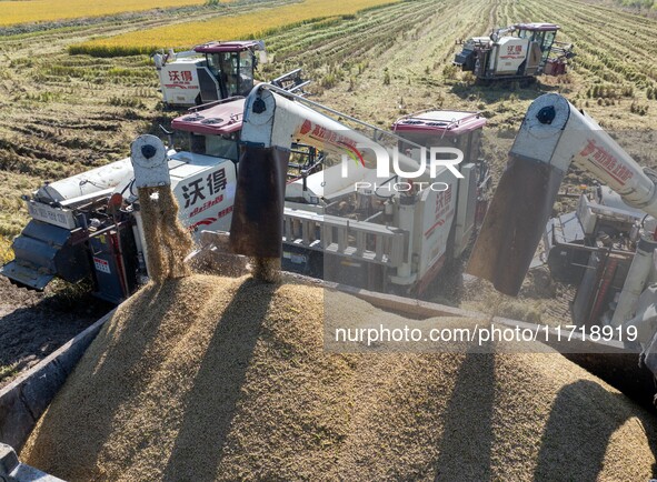 Workers operate machines to harvest rice at Baima Lake farm in Huai'an, China, on October 29, 2024. 