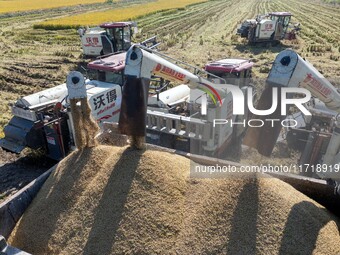 Workers operate machines to harvest rice at Baima Lake farm in Huai'an, China, on October 29, 2024. (