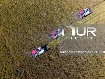 Workers operate machines to harvest rice at Baima Lake farm in Huai'an, China, on October 29, 2024. (