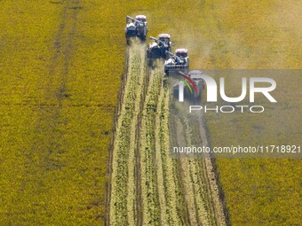 Workers operate machines to harvest rice at Baima Lake farm in Huai'an, China, on October 29, 2024. (