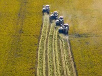 Workers operate machines to harvest rice at Baima Lake farm in Huai'an, China, on October 29, 2024. (