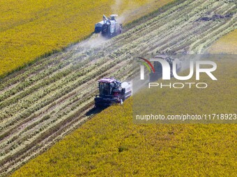 Workers operate machines to harvest rice at Baima Lake farm in Huai'an, China, on October 29, 2024. (