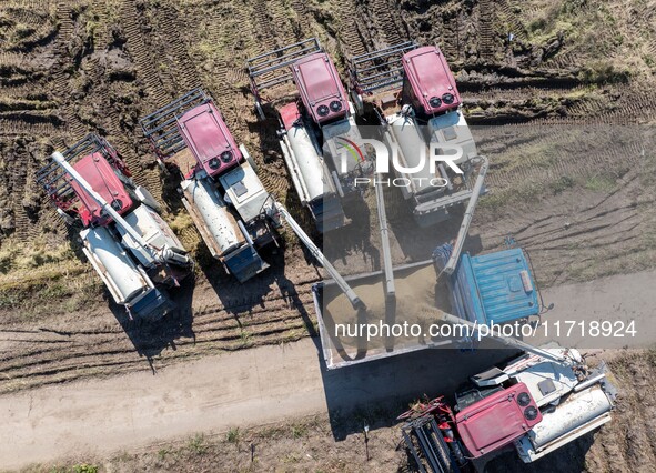 Workers operate machines to harvest rice at Baima Lake farm in Huai'an, China, on October 29, 2024. 