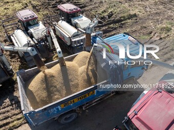 Workers operate machines to harvest rice at Baima Lake farm in Huai'an, China, on October 29, 2024. (