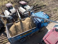 Workers operate machines to harvest rice at Baima Lake farm in Huai'an, China, on October 29, 2024. (