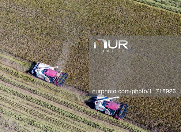 Workers operate machines to harvest rice at Baima Lake farm in Huai'an, China, on October 29, 2024. 