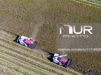 Workers operate machines to harvest rice at Baima Lake farm in Huai'an, China, on October 29, 2024. (